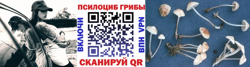 закладка  Яранск  Галлюциногенные грибы Magic Shrooms 
